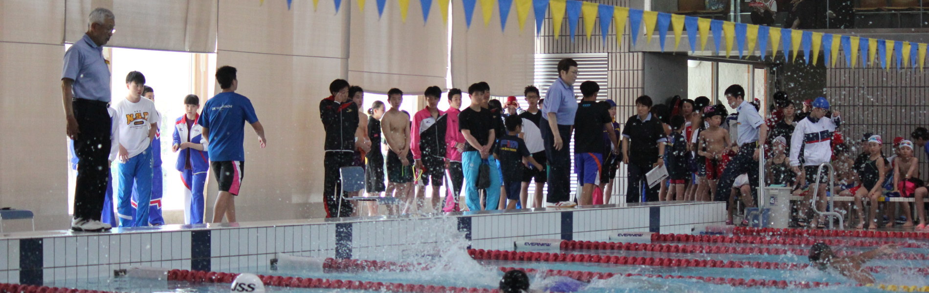 県 水泳 連盟 高知
